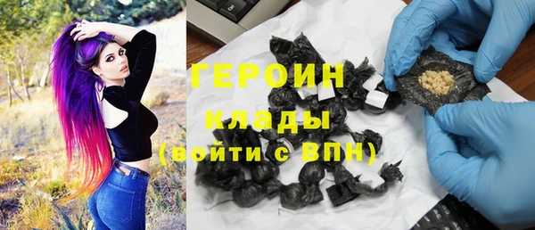 индика Нягань