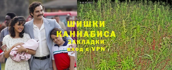 индика Нягань