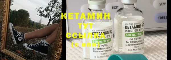 индика Нягань